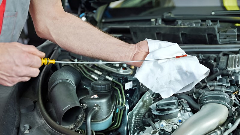 transmission-fluid-leakage